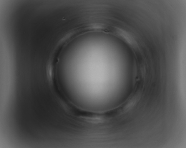 X0000101440350200807071407