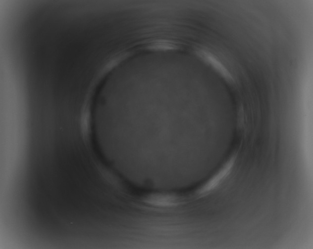 X0000101440351200807071407