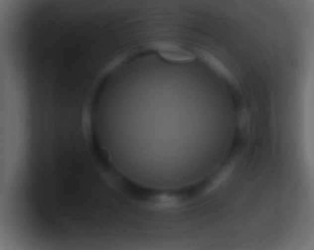 X0000101440352200807071407