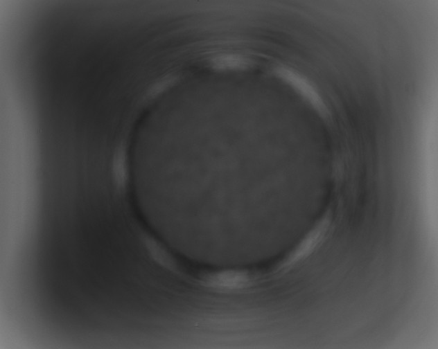 X0000101440353200807071407