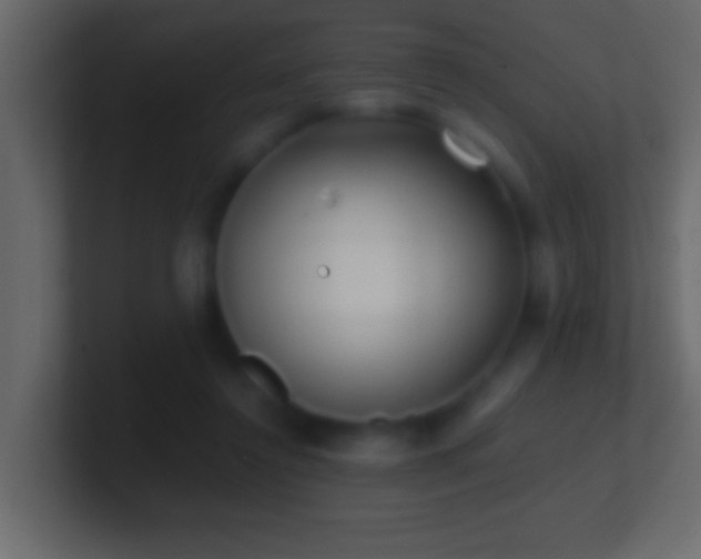 X0000101440356200807071407