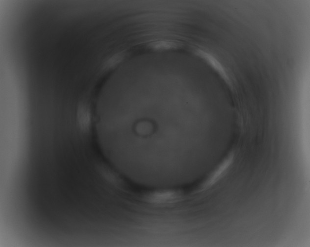 X0000101440357200807071407