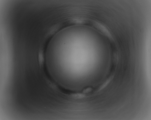 X0000101440358200807071407