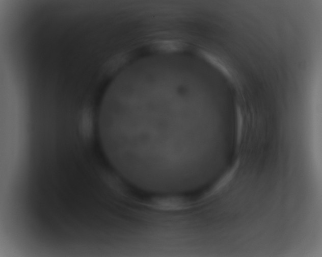 X0000101440359200807071407