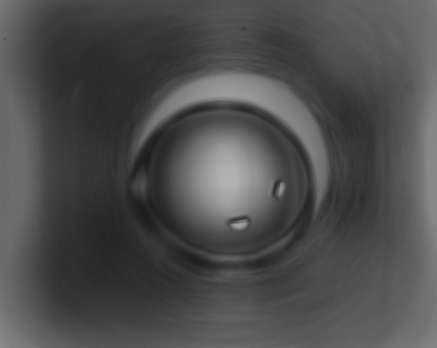 X0000101440360200807071407