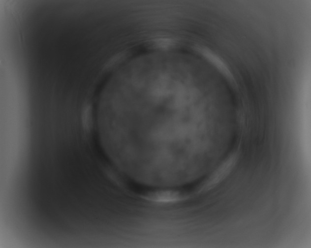 X0000101440361200807071407