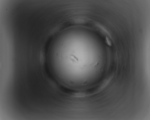 X0000101440362200807071407