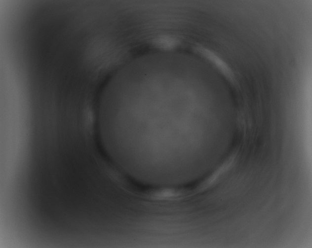 X0000101440365200807071407