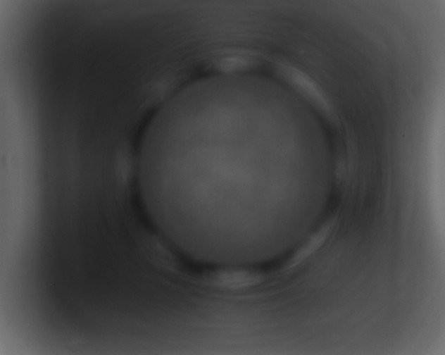 X0000101440367200807071407