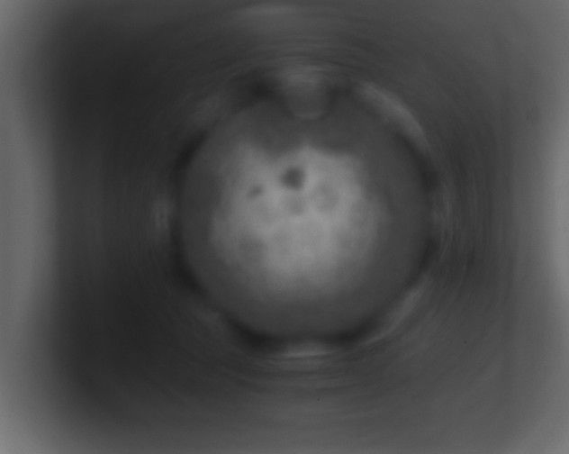 X0000101440369200807071407