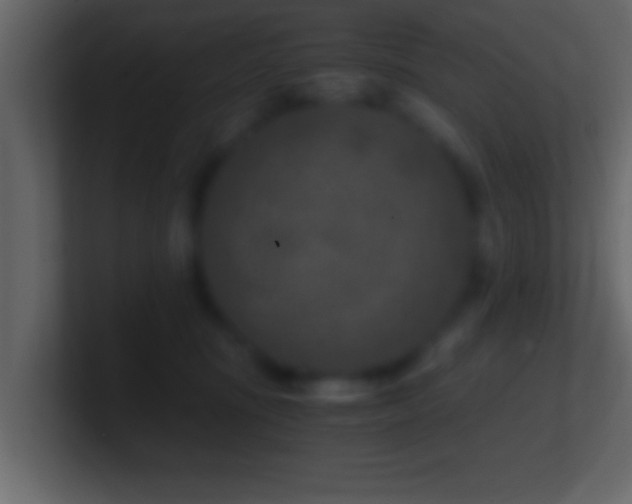 X0000101440371200807071407