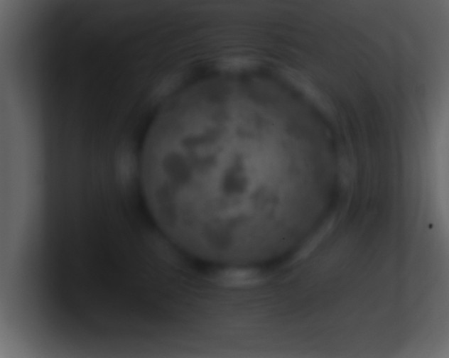 X0000101440375200807071407