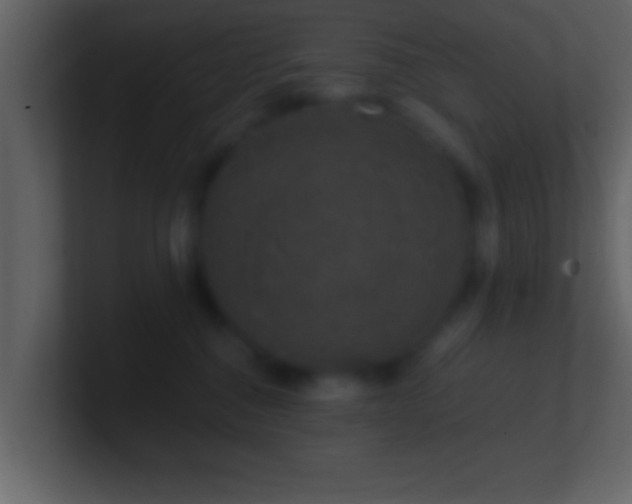 X0000101440376200807071407