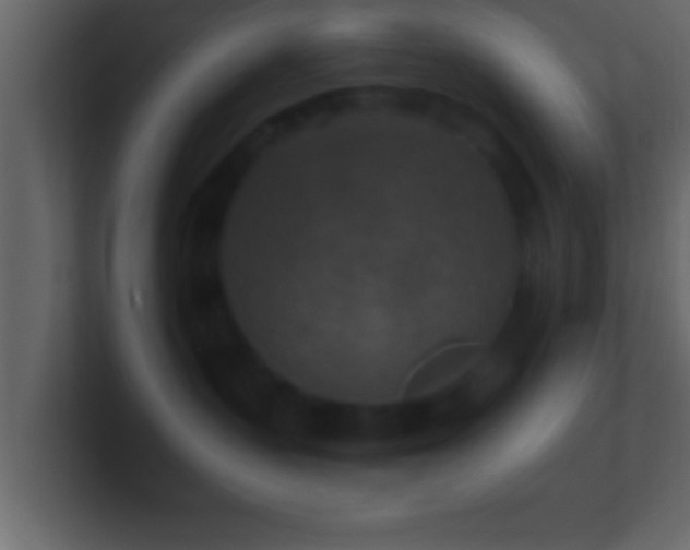 X0000101440383200807071407