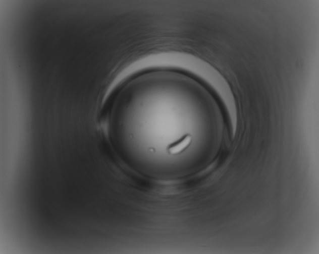 X0000101440384200807071407