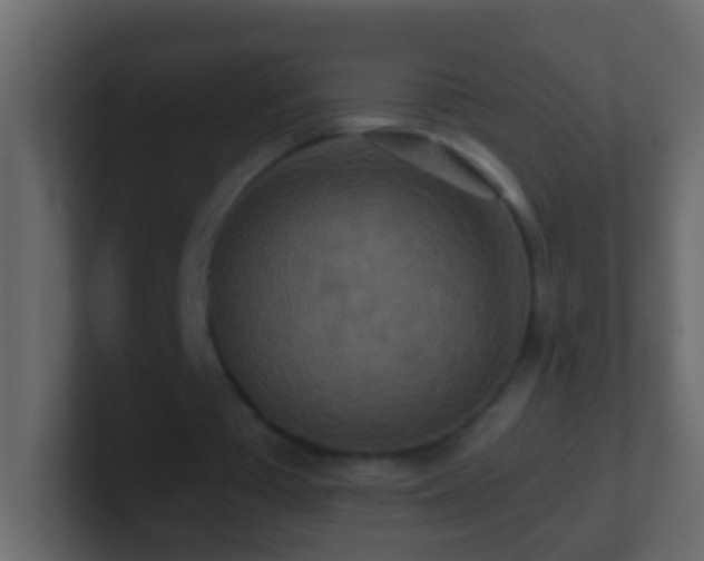 X0000101440385200807071407