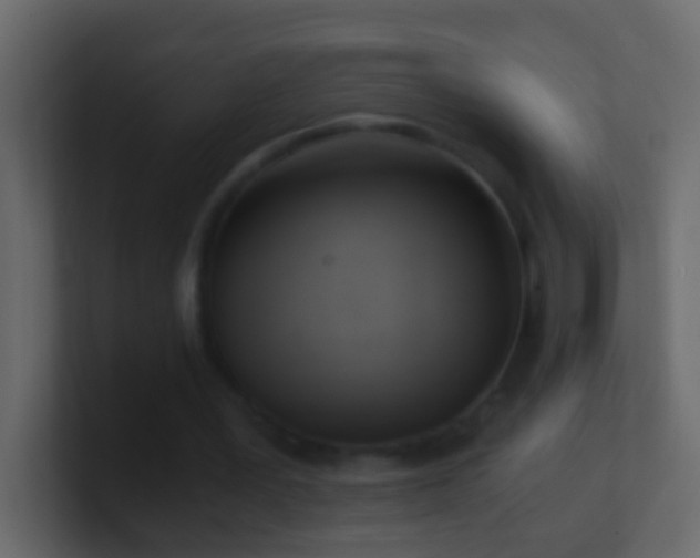 X0000101440387200807071407