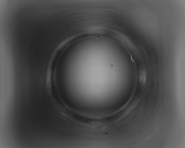 X0000101440388200807071407