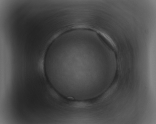 X0000101440389200807071407