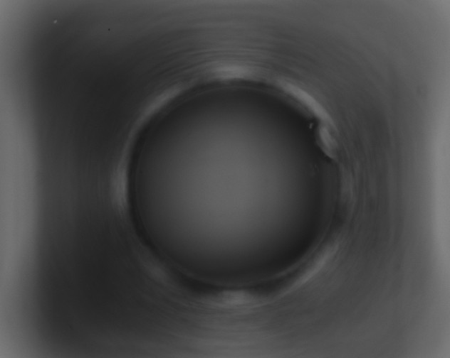 X0000101440391200807071407