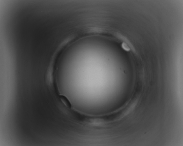 X0000101440395200807071407