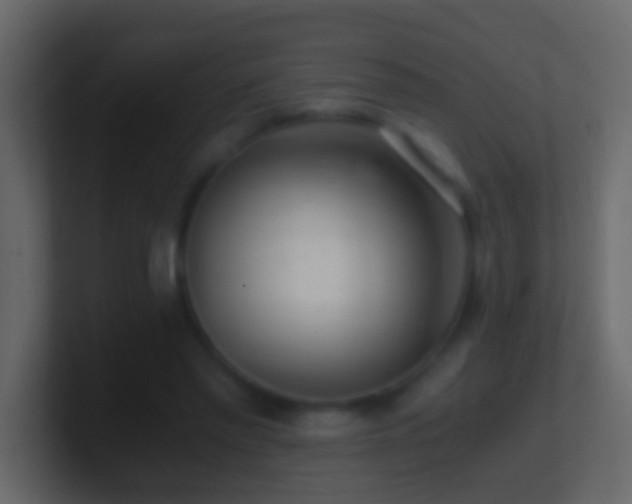 X0000101440397200807071407