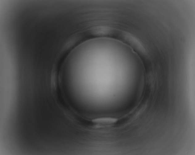 X0000101440400200807071407