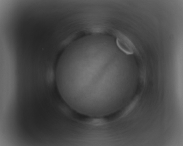 X0000101440401200807071407