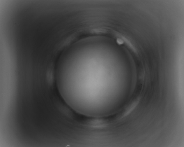 X0000101440402200807071407