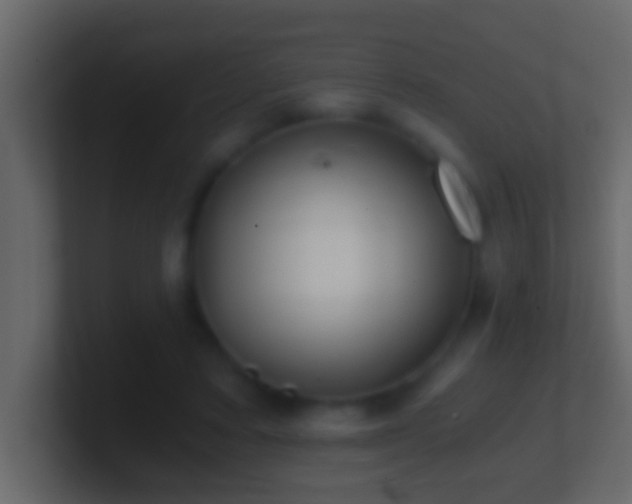 X0000101440403200807071407