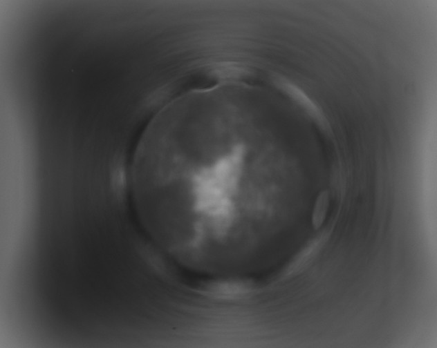 X0000101440405200807071406