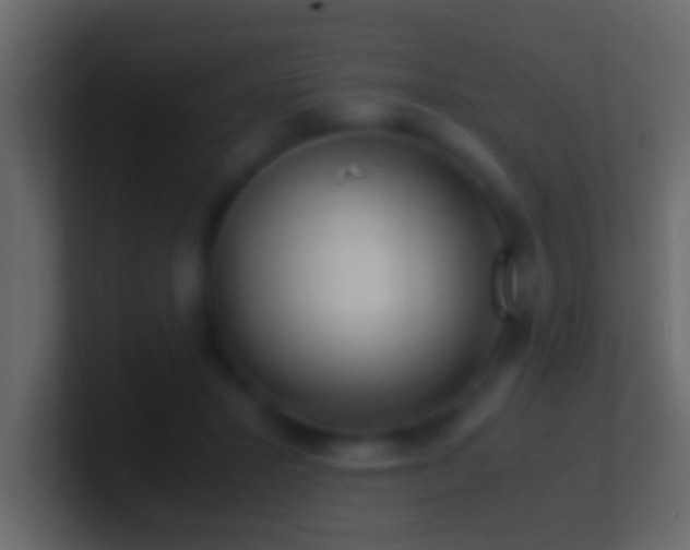 X0000101440407200807071406