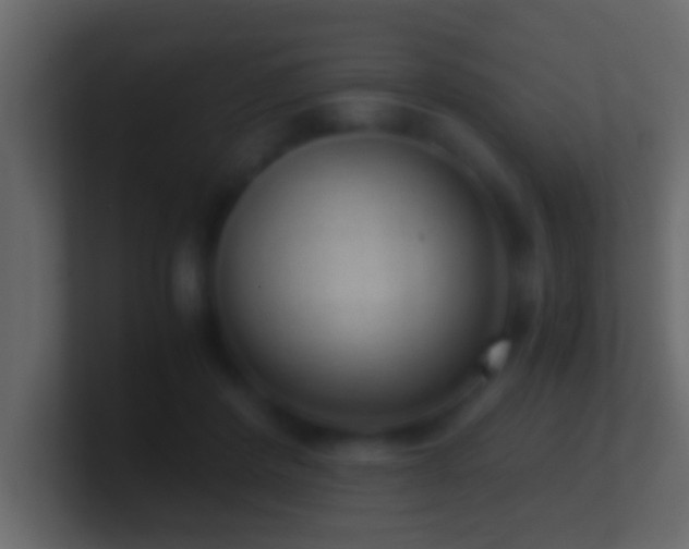 X0000101440408200807071406