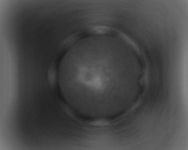 X0000101440410200807071406