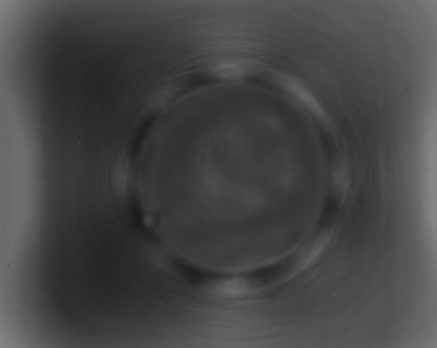 X0000101440411200807071406