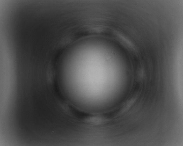 X0000101440414200807071406