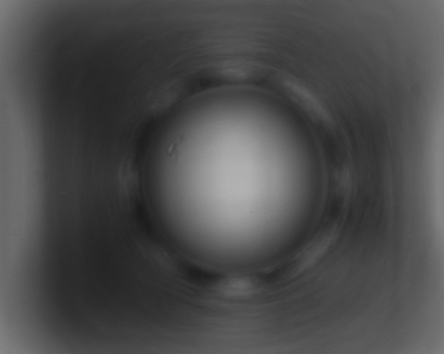 X0000101440418200807071406