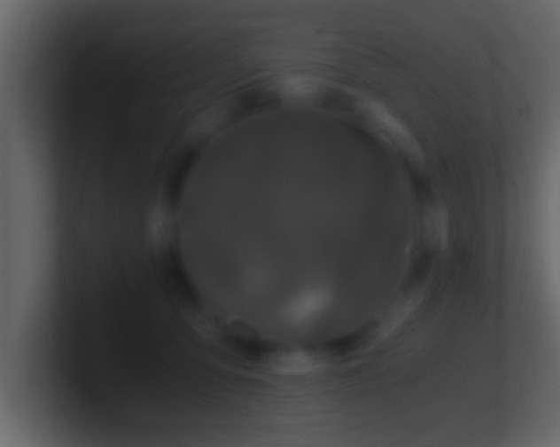 X0000101440419200807071406