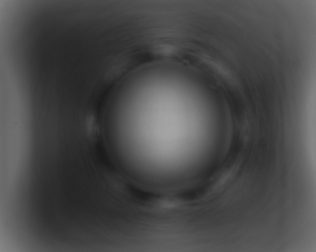 X0000101440420200807071406