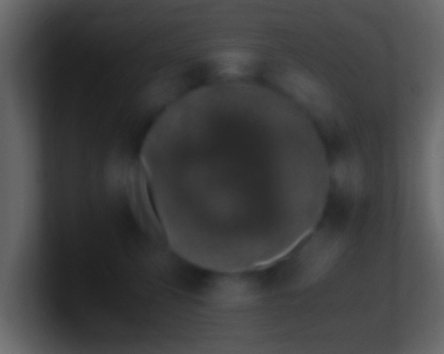 X0000101440423200807071406