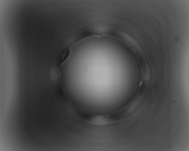 X0000101440425200807071406