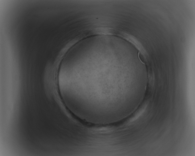 X0000101440433200807071405