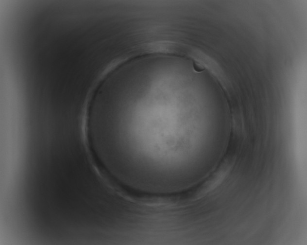 X0000101440434200807071406