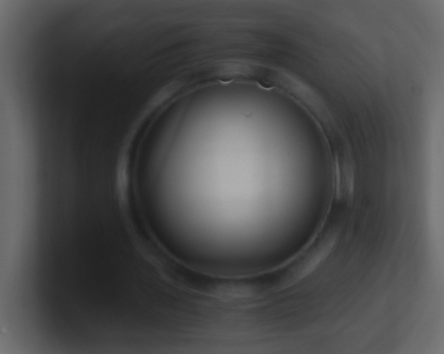 X0000101440435200807071406