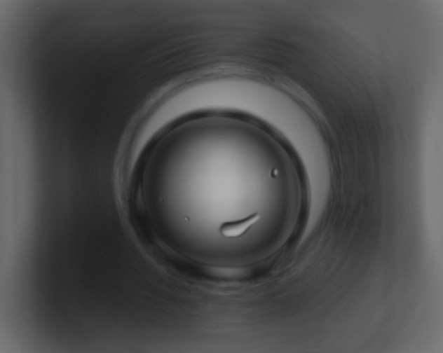 X0000101440436200807071406