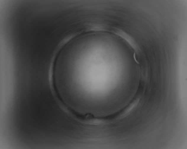 X0000101440437200807071406