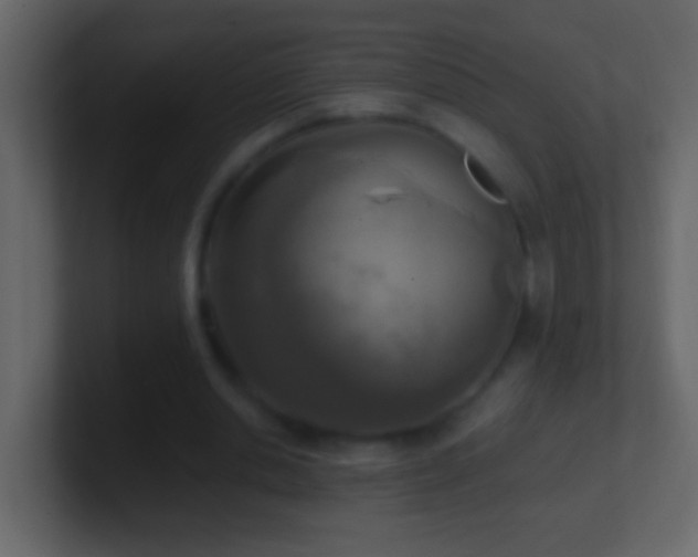 X0000101440438200807071406