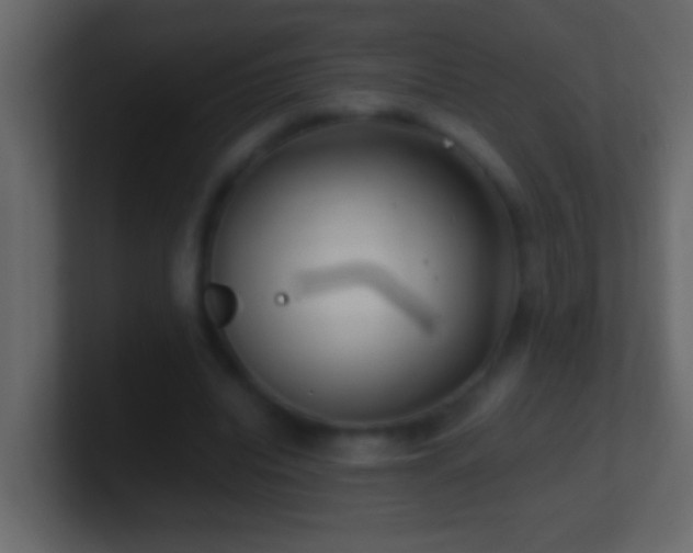 X0000101440440200807071406