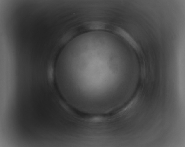 X0000101440441200807071406