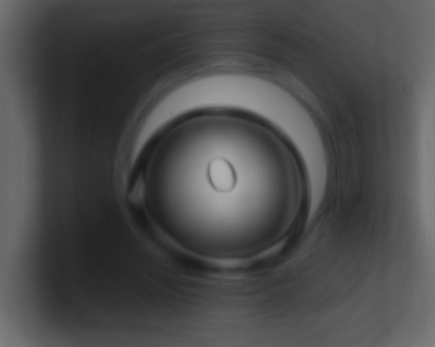 X0000101440444200807071406